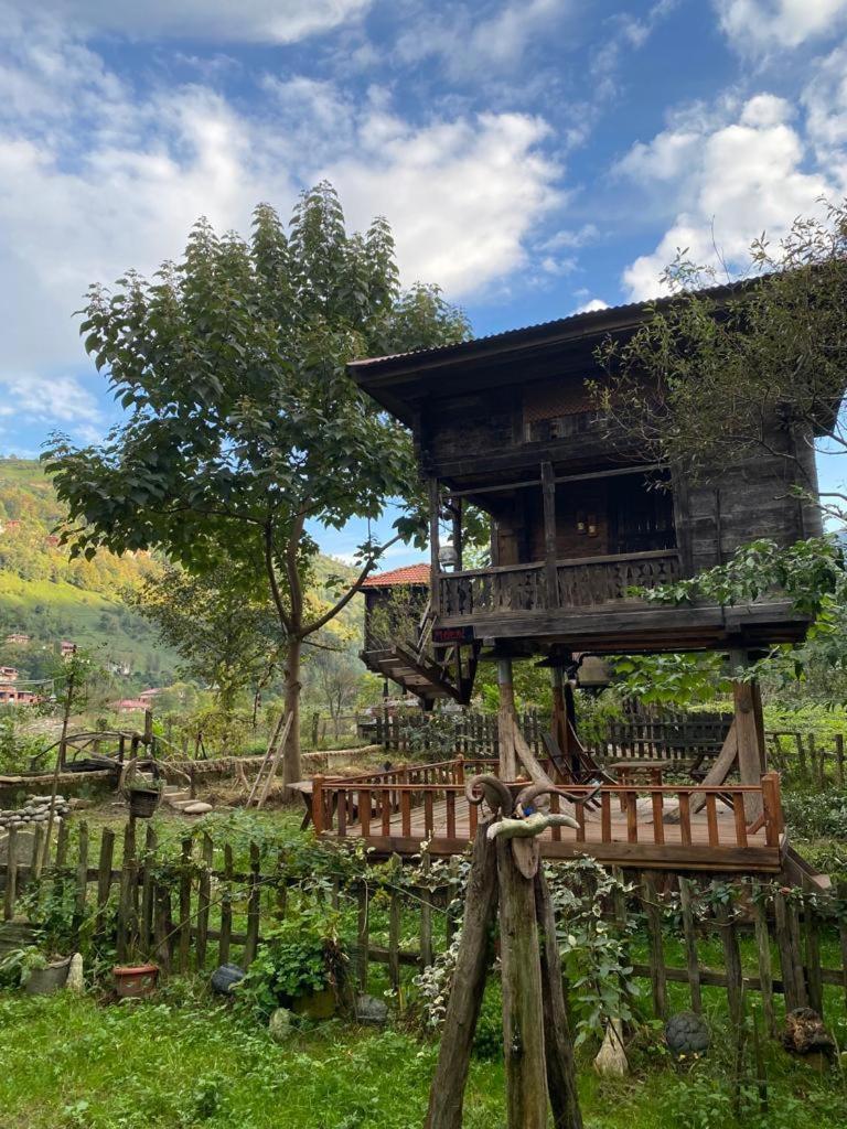 Zeni De Vore Serender & House Aparthotel Rize Kültér fotó